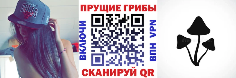 Псилоцибиновые грибы Psilocybe  Строитель 
